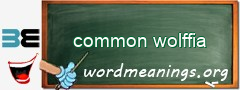 WordMeaning blackboard for common wolffia